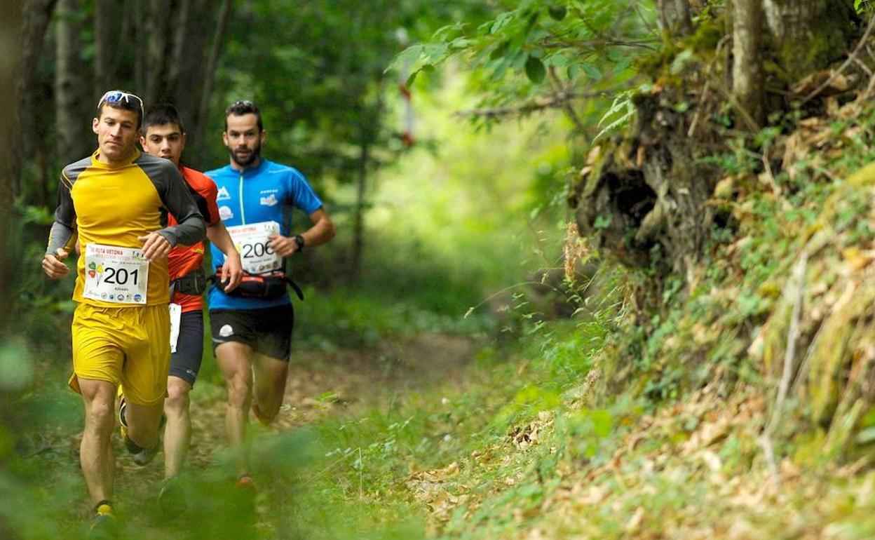 La VIII Ruta Vetona 'Los 100 de Béjar' abre su periodo de inscripciones