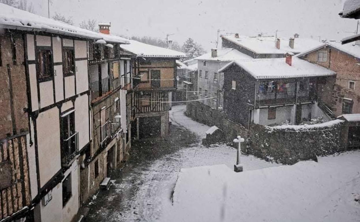 Reciente nevada en La Alberca. 