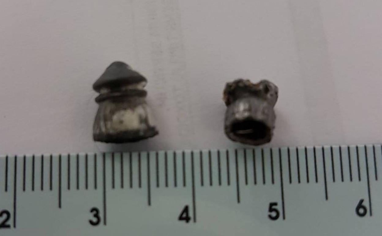 Perdigones extraídos. 