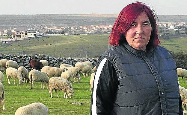 Esther Peñalva, ganadera: «Las ovejas deben salir todos los días y no hay pastor que quiera sacarlas»