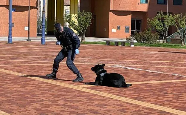 La Policía Local entretiene a los vecinos de Burgos con una exhibición de la Unidad Canina