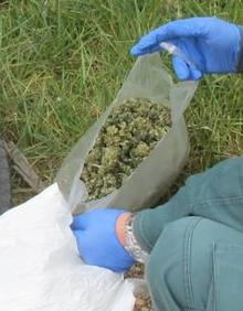 Imagen secundaria 2 - Coronavirus en Palencia: Interceptan a un ciclista por incumplir el confinamiento y descubren que llevaba 378 gramos de marihuana