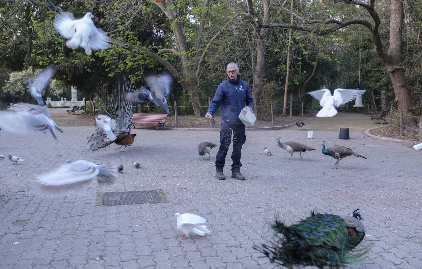 Fotos: Así da de comer Luis Magdaleno a los animales del Campo Grande