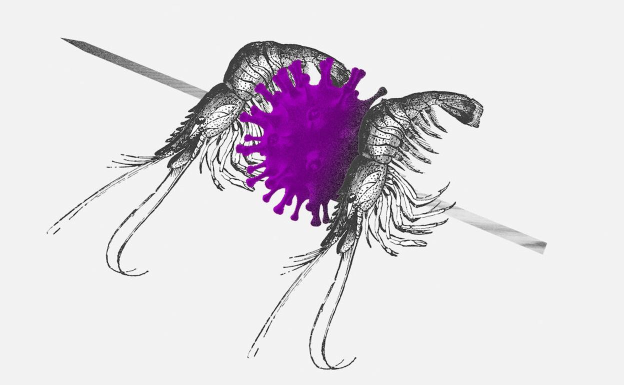 Coronavirus: ¿Quién piensa en mañana?