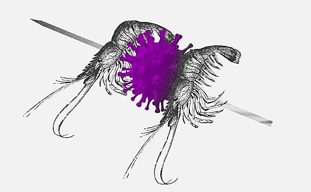 ¿Quién piensa en mañana?