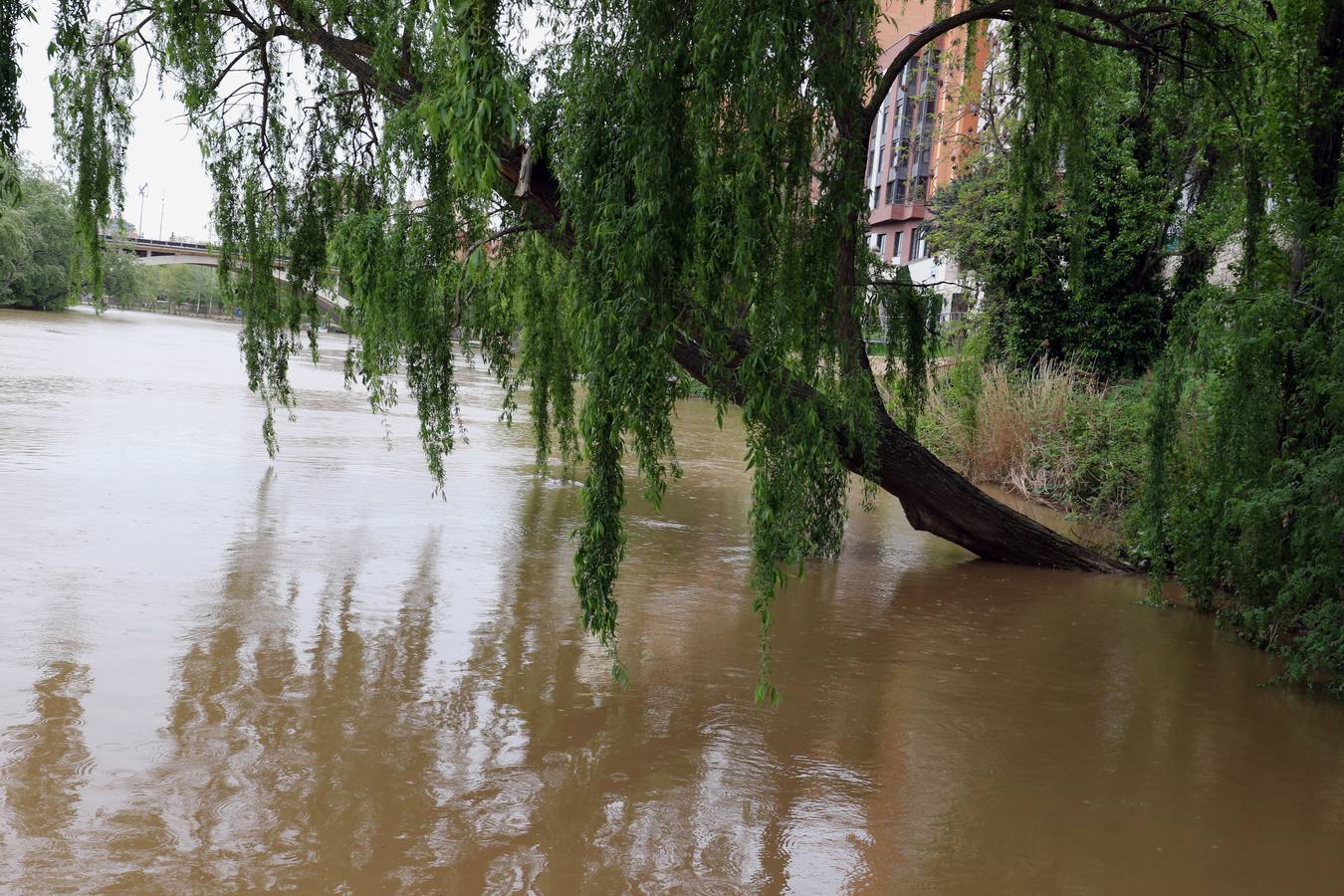 Las intensas lluvias que están protagonizando estas primeras semanas de abril han dejado una cantidad que supera ya con creces la media habitual para todo el mes