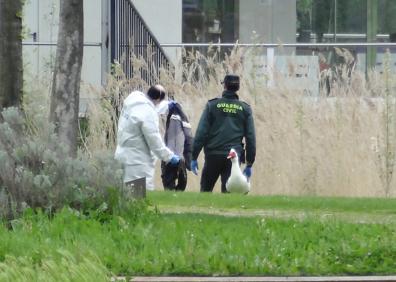 Imagen secundaria 1 - Arriba, Los efectivos de Criminalística examinan el cuerpo de la víctima en el parque junto al polideportivo; a la derecha, un guardia recoge una prenda hallada en el lago y a la izquierda, traslado del cuerpo al Instituto de Medicina Legal.