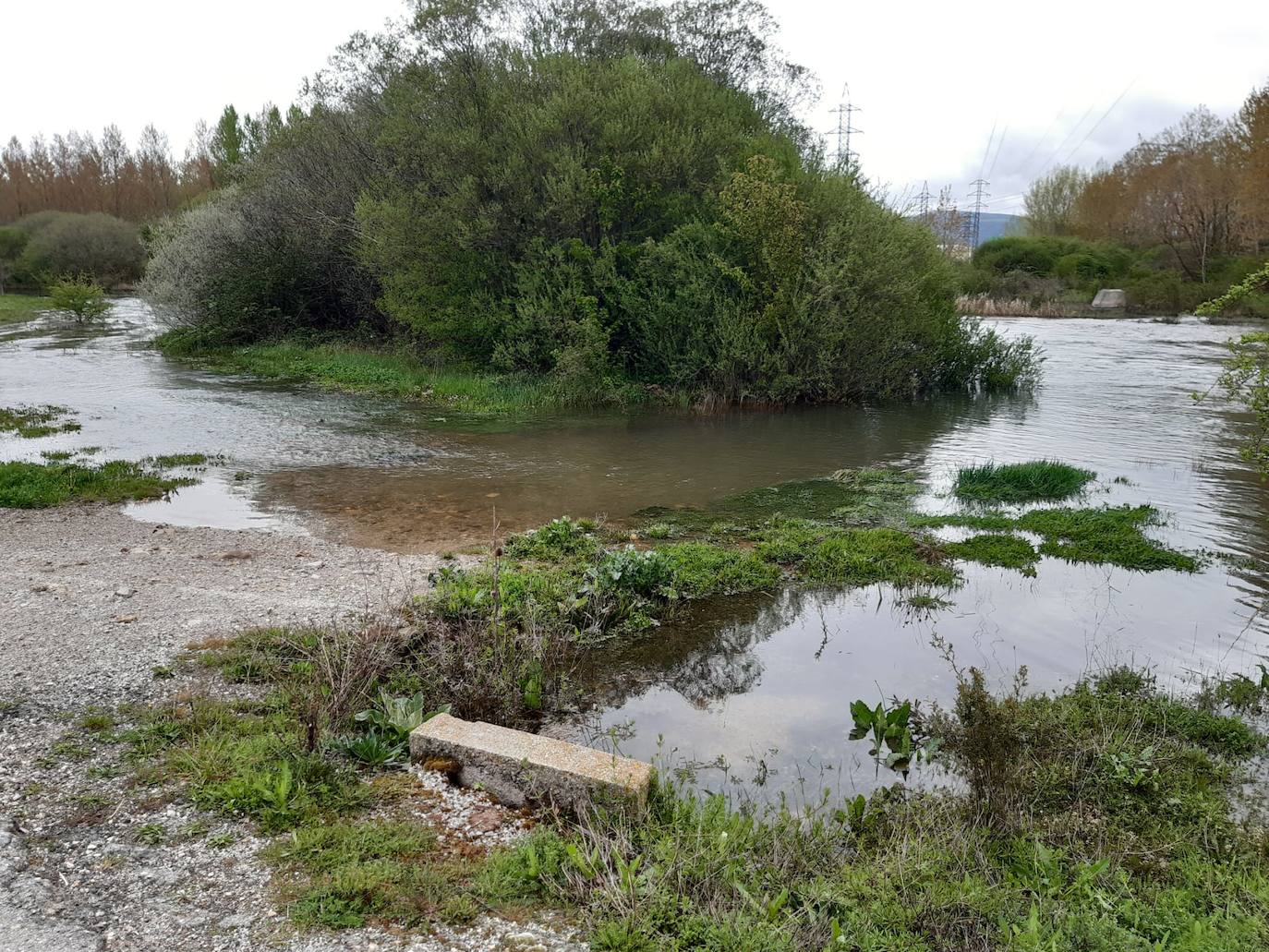 La suelta de agua del embalse de Aguilar ha hecho crecer considerablemente el río. 
