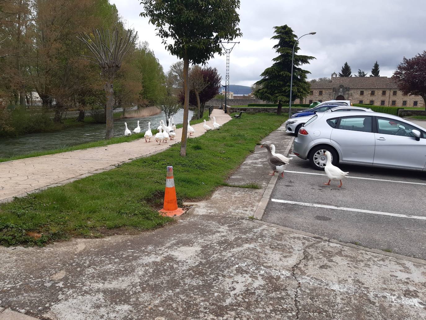 La suelta de agua del embalse de Aguilar ha hecho crecer considerablemente el río. 