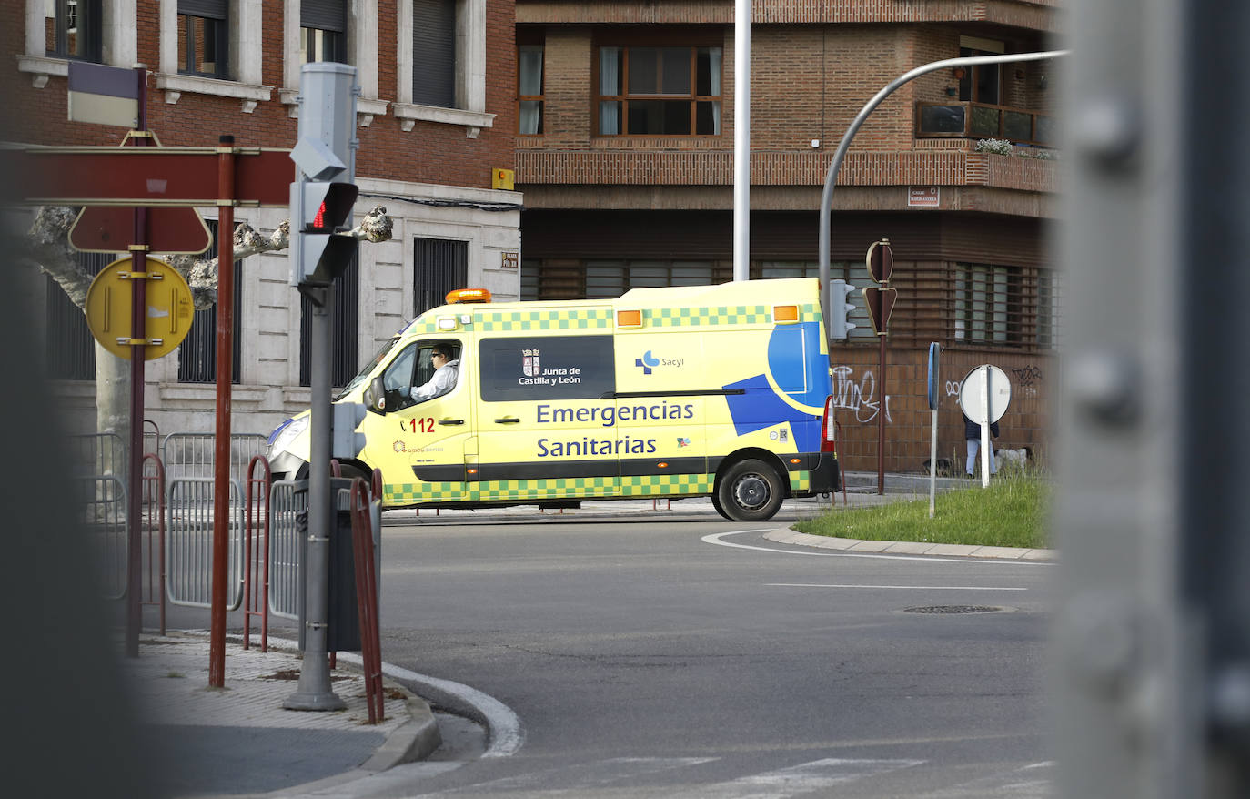 Últimos datos en Palencia: 753 casos positivos, 227 altas y se mantiene en 61 el número de muertes