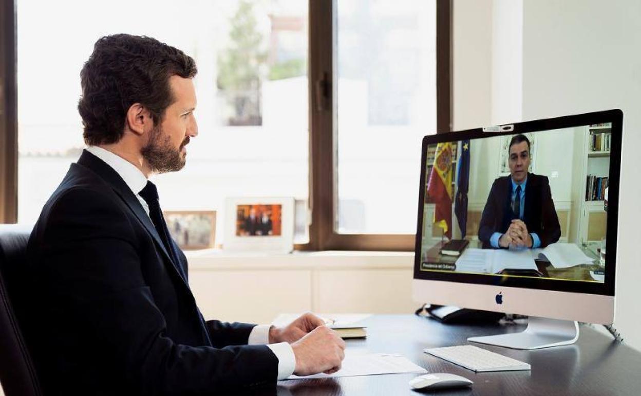 Pablo Casado, en la videoconferencia con pedro Sánchez.