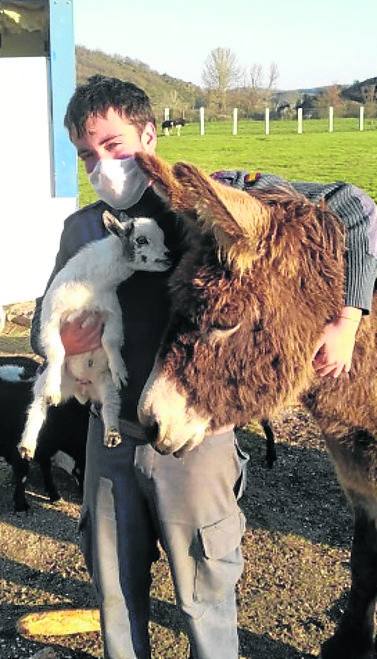 Alonso Cubillas abraza a un burro mientras coge a un lechazo en su futura granja escuela