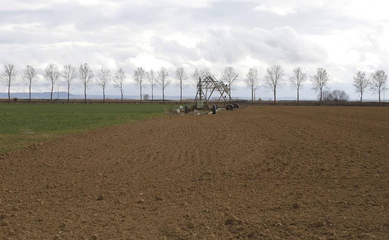 Coronavirus Castilla y León: Agricultura publica una nueva línea de apoyo para las explotaciones agrarias e industrias agroalimentarias