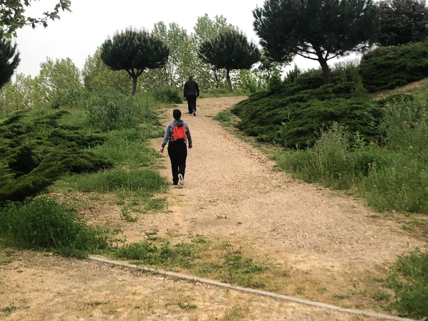 Primer día de deporte en Valladolid tras semanas de confinamiento