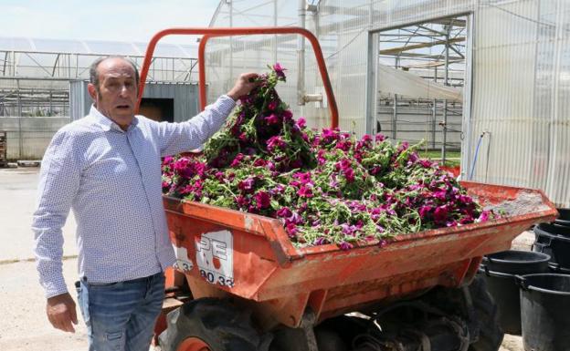 Jesús Gutiérrez, en las instalaciones de Viveros Gutiérrez, en Cigales.