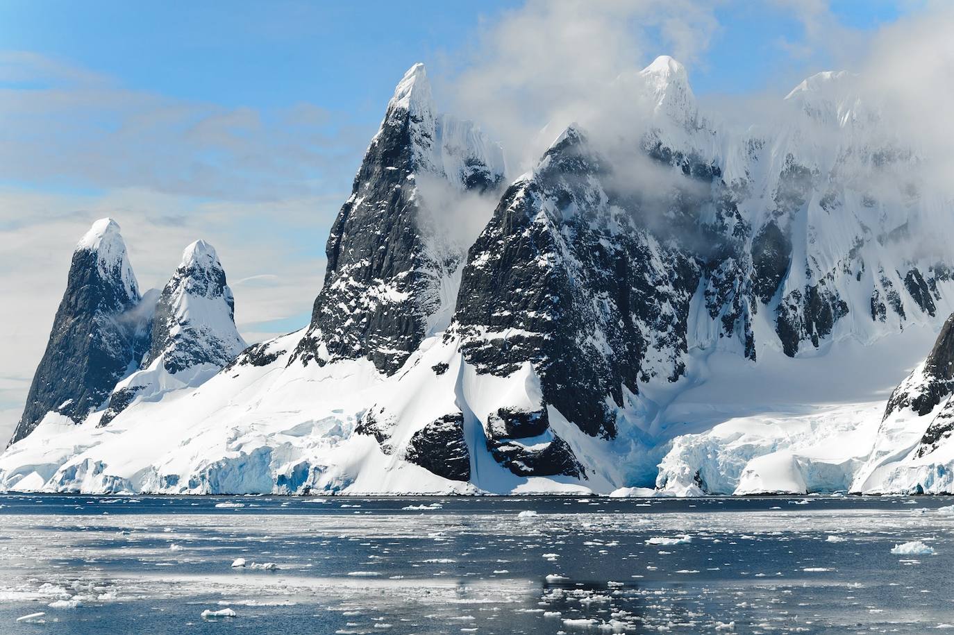 Antártida | Ballenas, orcas y leones marinos habitan las aguas heladas de este lugar al que sólo se puede acceder en barcos de expedición.