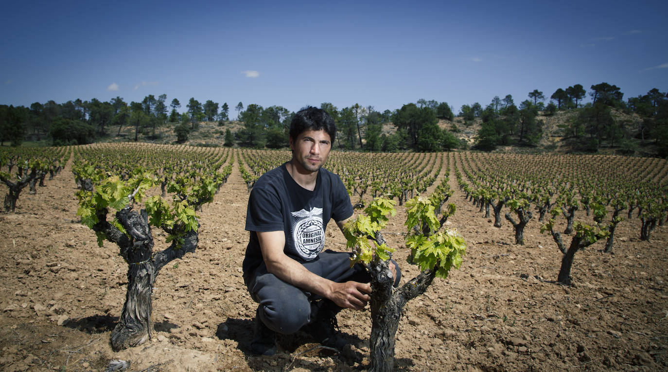 Daniel Maestre, viticultor.