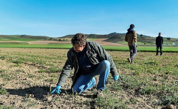 Bruselas cree necesario reforzar la PAC y sus herramientas de crisis para hacer frente a la covid-19