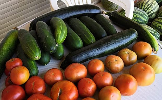 Parte de su cosecha.