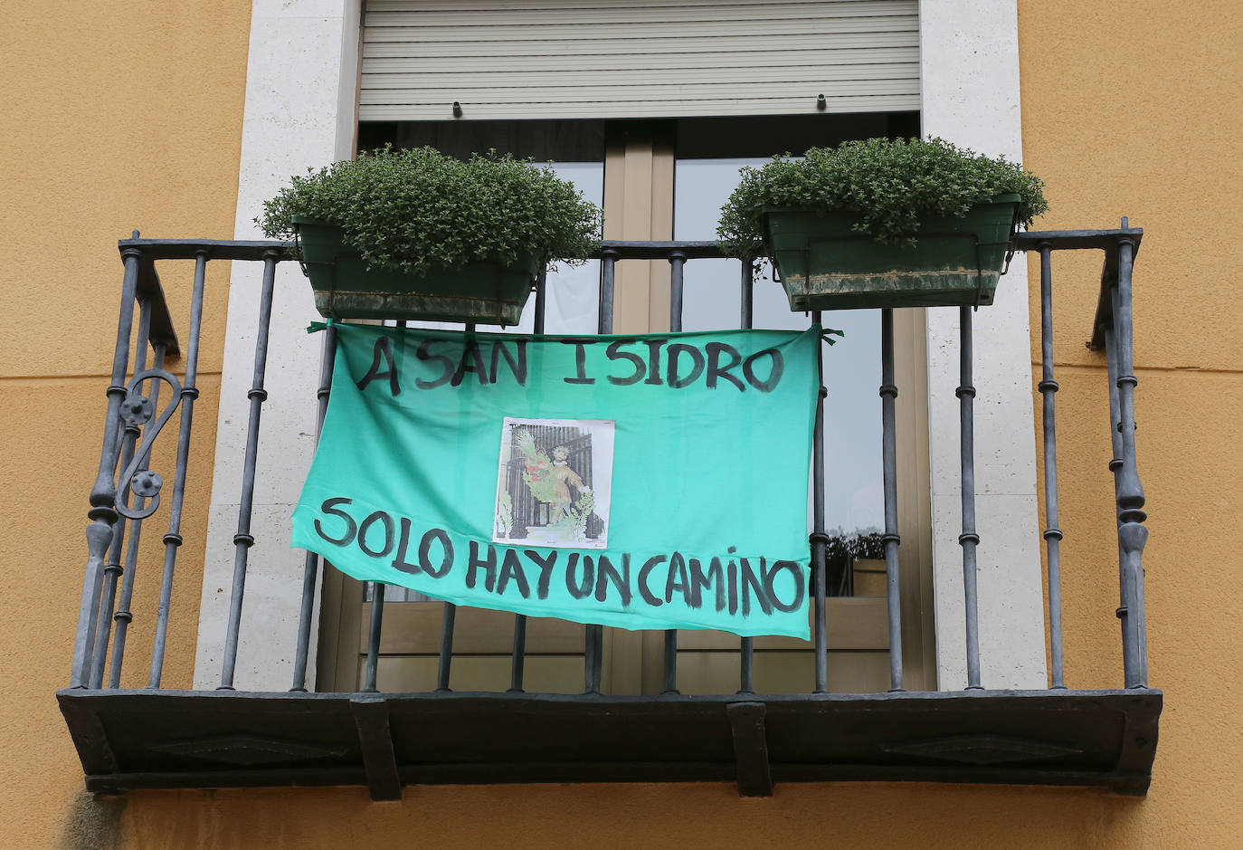 Balcones y ventanas de Dueñas se engalanan para festejar la fiesta de su patrón.