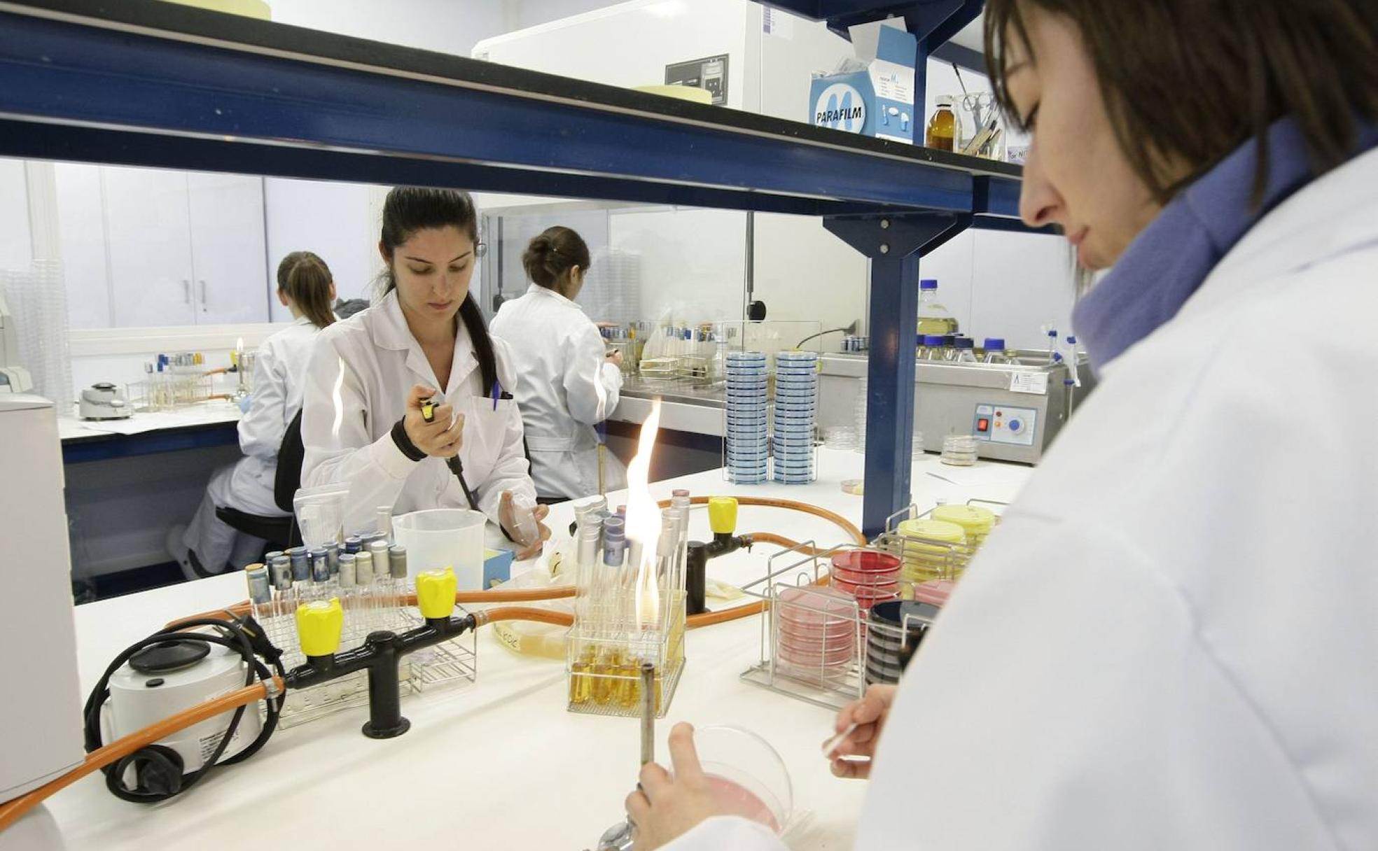 Varios técnicos trabajan en uno de los laboratorios de la empresa Aquimisa. 
