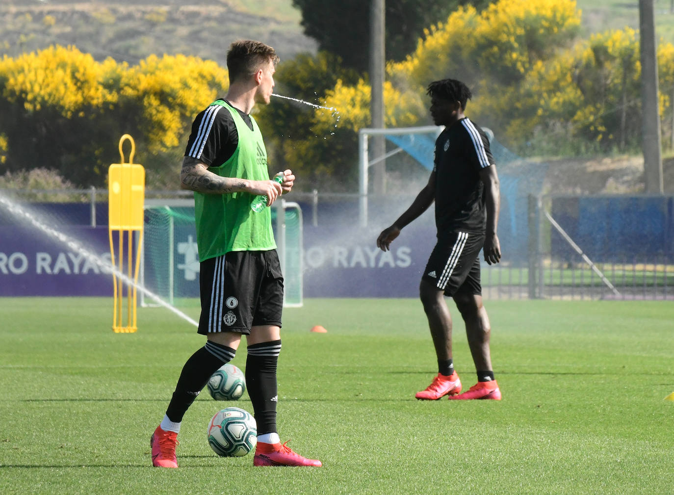 Fotos: El Real Valladolid puede entrenar en grupos de 14