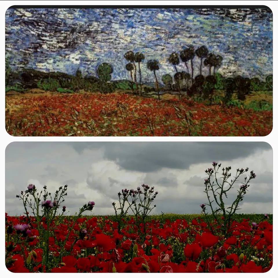 ‘Campo de amapolas’ de Van Gogh y fotografía de Fernando San José.