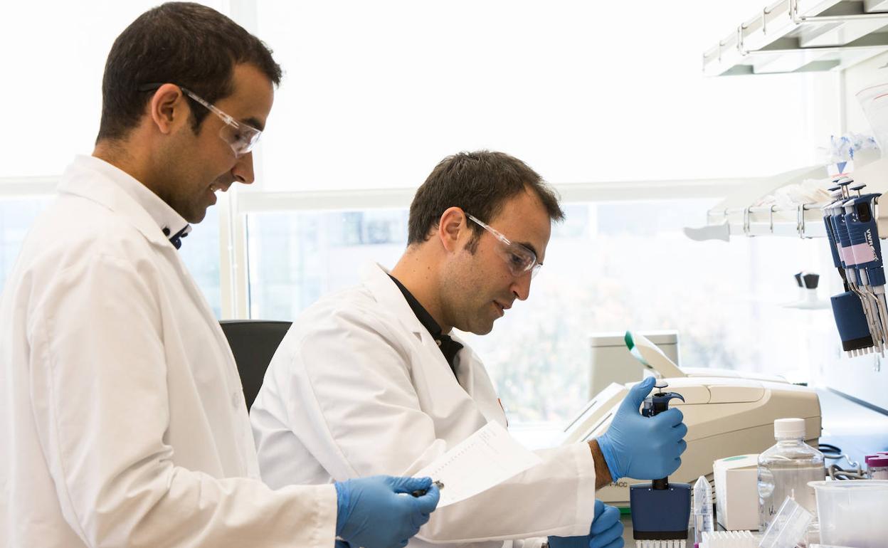 Adirán Ferrero y Alberto Acedo, en el laboratorio de su empresa. 