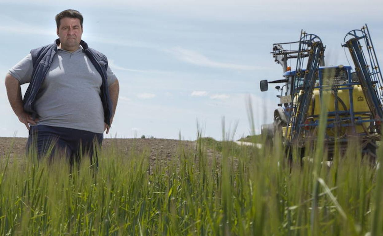 Un agricultor en su parcela. 