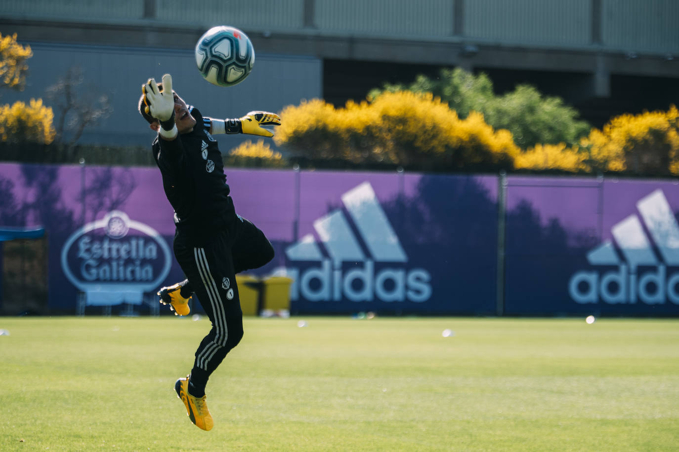 Fotos: La primera plantilla del Real Valladolid continúa trabajando a buen ritmo