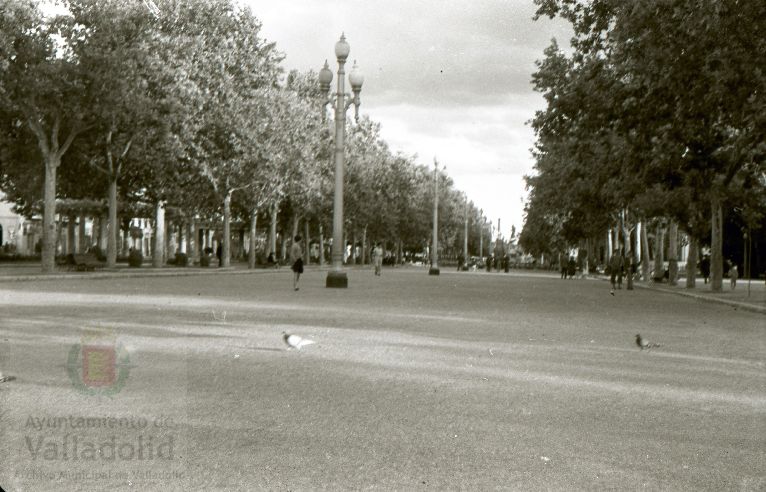 Fotos: Estampas del Valladolid antiguo (XLI): el Campo Grande en 1956