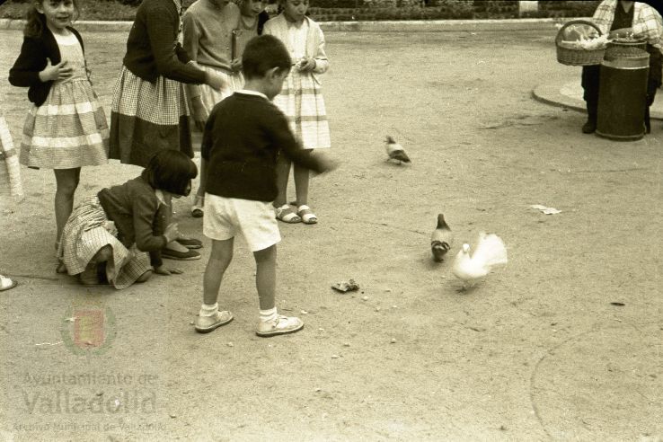 Fotos: Estampas del Valladolid antiguo (XLI): el Campo Grande en 1956