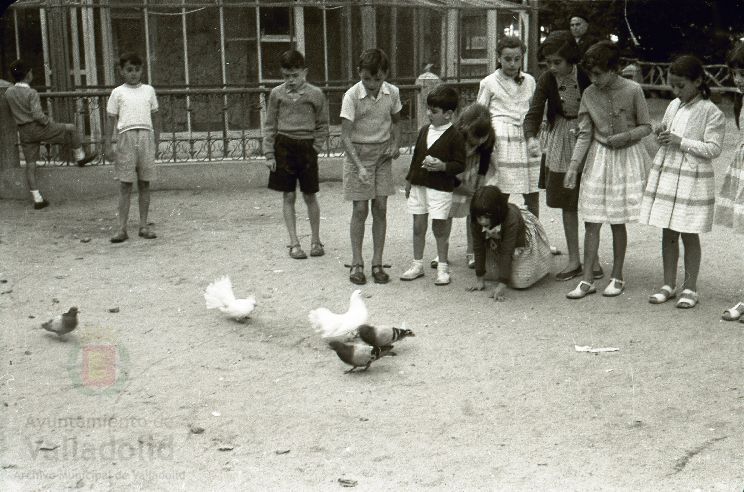 Fotos: Estampas del Valladolid antiguo (XLI): el Campo Grande en 1956