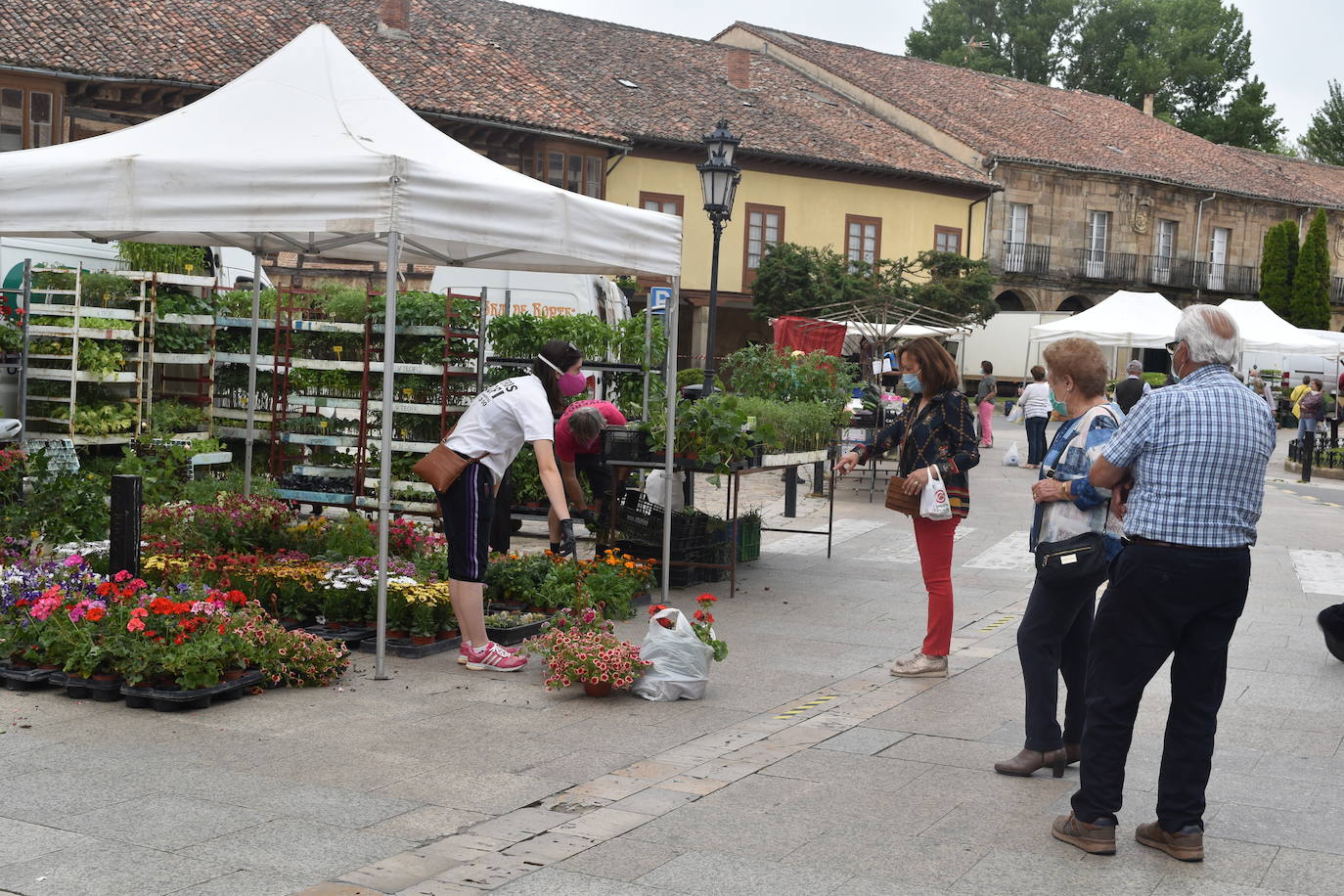 Mercadillo en la plaza España de Aguilar.