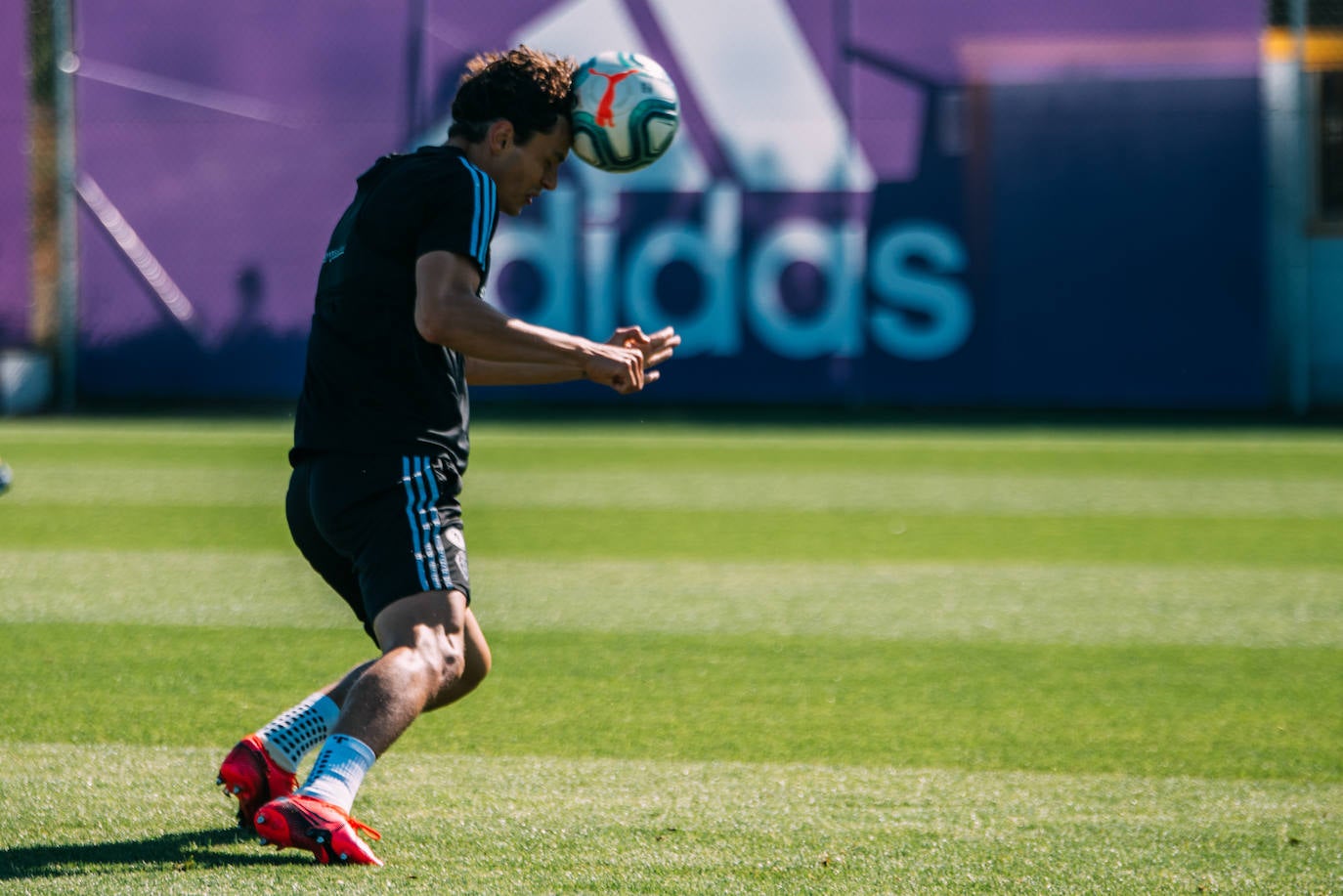 Los jugadores del Pucela se han ejercitado hoy en las instalaciones del Real Valladolid. 