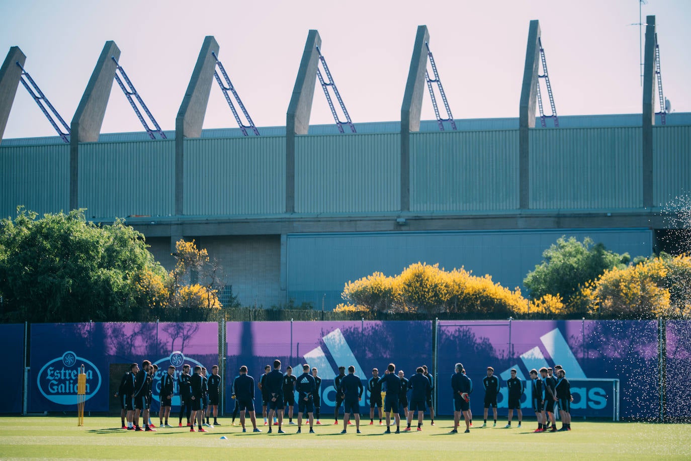 Los jugadores del Pucela se han ejercitado hoy en las instalaciones del Real Valladolid. 