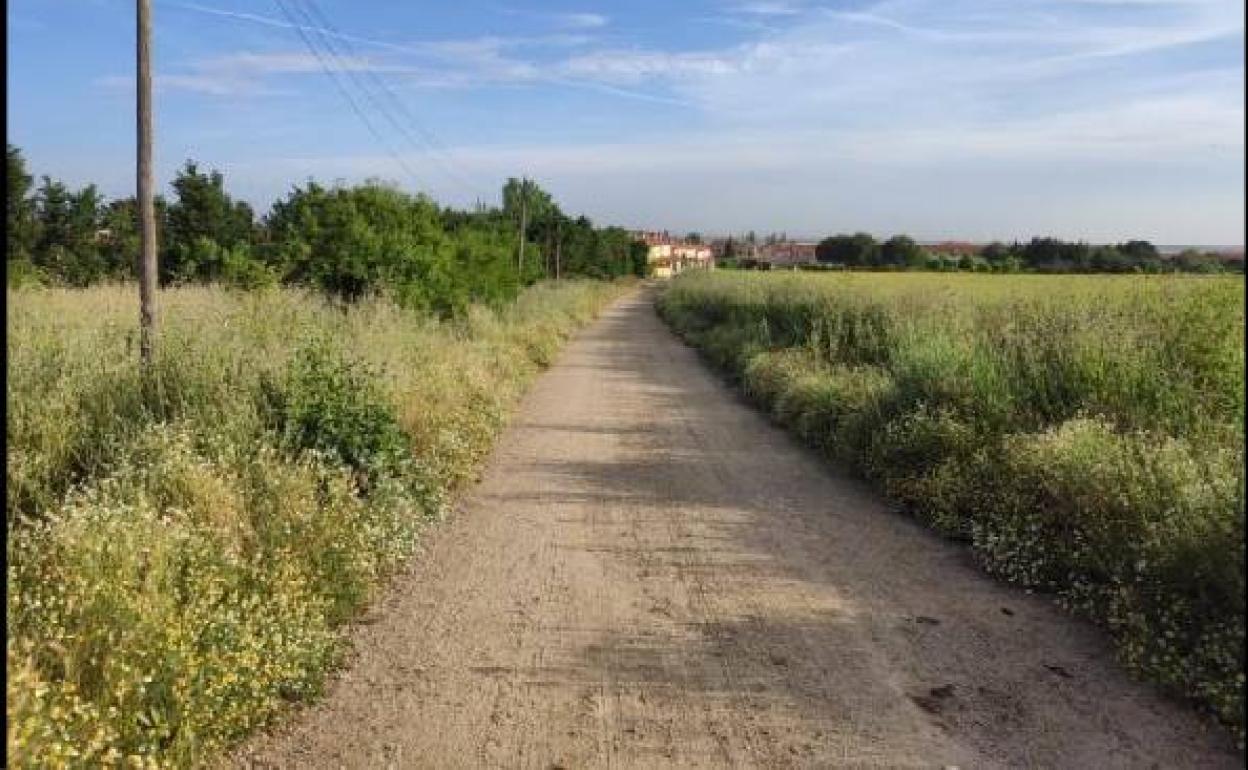 Carretera que pasan por el término municipal de Monterrubio de Armuña. 