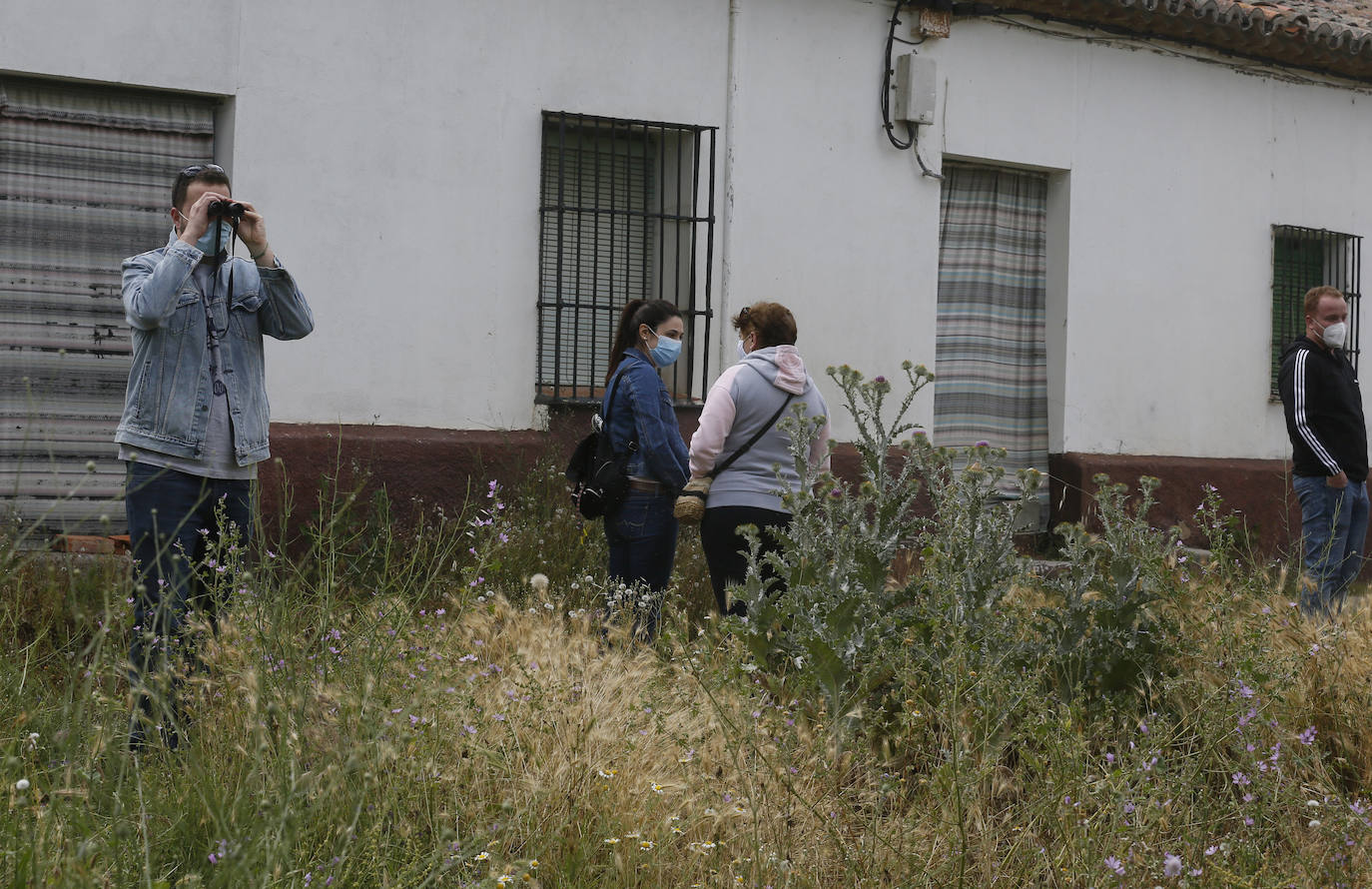 Agentes de la Guardia Civil rastrean desde ayer el río a la altura de Simancas en busca de un cocodrilo de gran tamaño. 