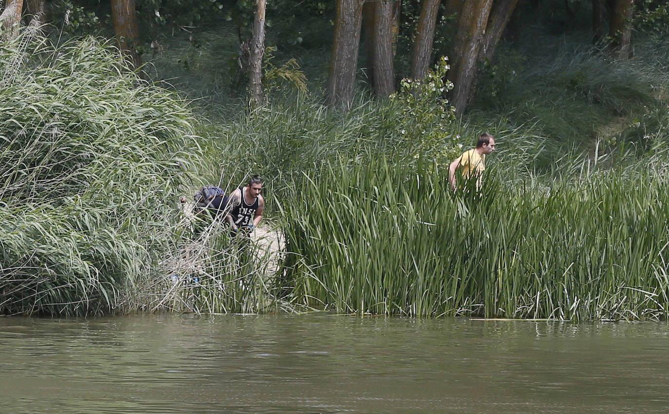 Agentes de la Guardia Civil rastrean desde ayer el río a la altura de Simancas en busca de un cocodrilo de gran tamaño. 