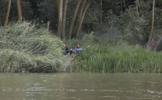 Los restos de un pez devorado por el cocodrilo permiten encontrar su nido en Valladolid