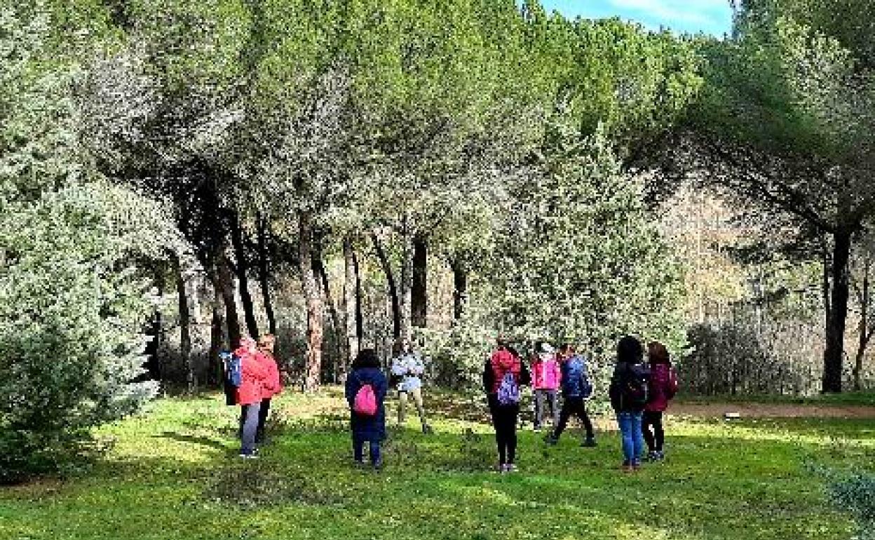 Actividad de baños de bosque en el Bosque de Valorio en Zamora. 