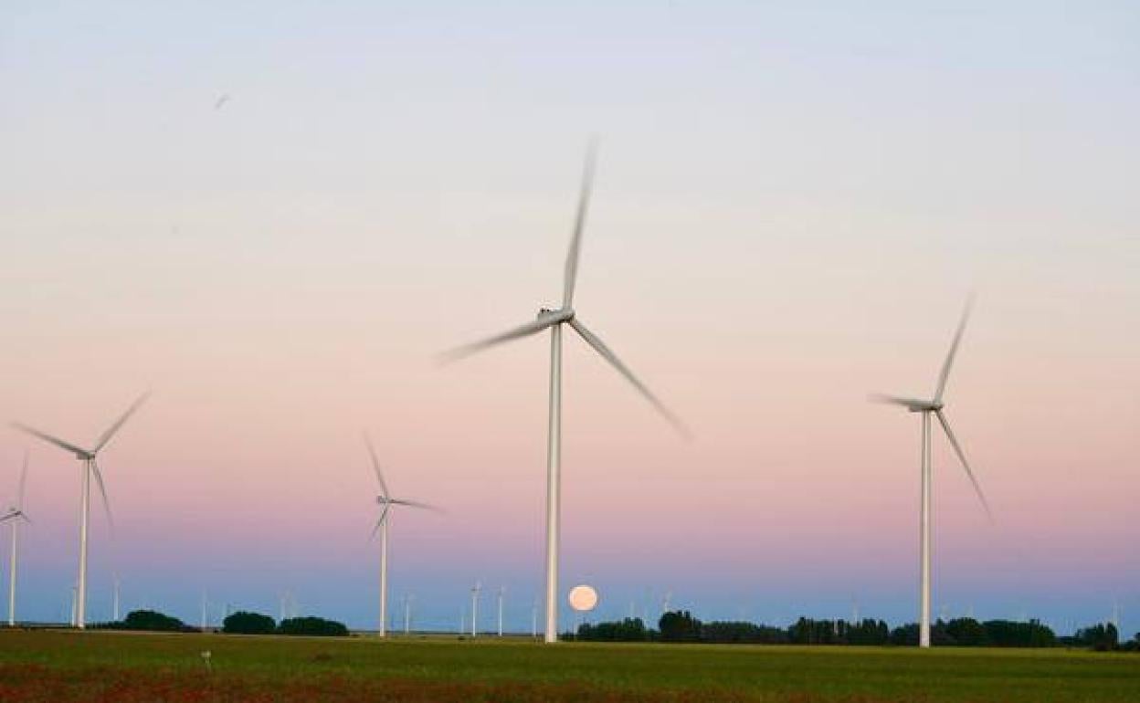 Sale a información pública el estudio de impacto ambiental de un parque eólico en La Mudarra