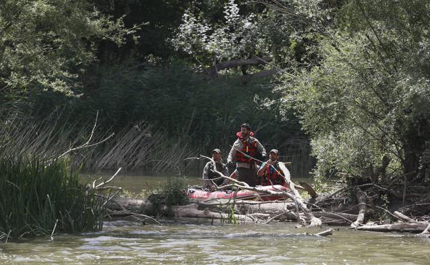 El rastreo del saurio en Valladolid se centra en un tramo de seis kilómetros de río