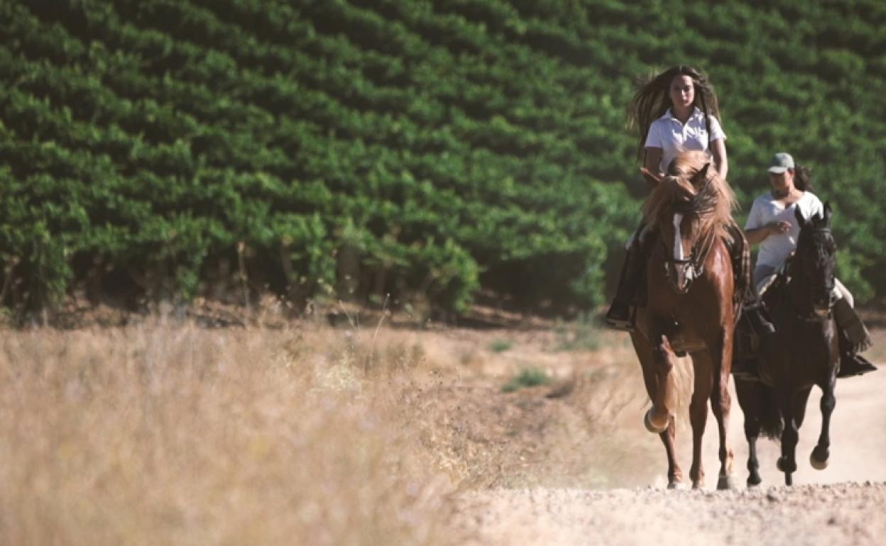 El vino a caballo