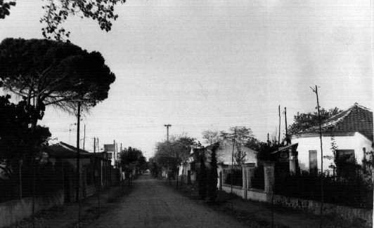 Una de las calles urbanizadas del Pinar de Antequera. 