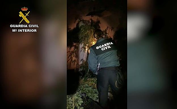 Vídeo de la localización de la plantación de marihuana en una localidad de Las Merindades. 