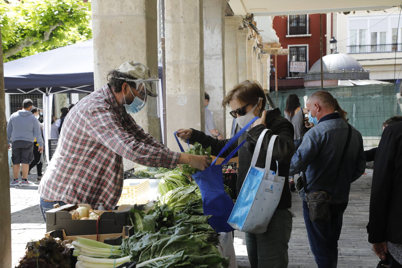 Fotos: El mercado ecológico de Palencia vuelve a la Plaza Mayor