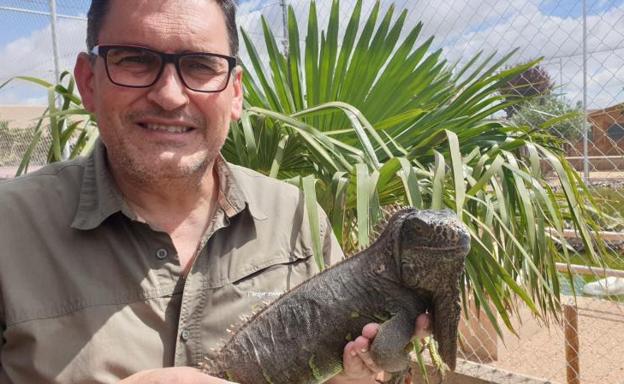 Marcos Sánchez en el zoo de Fresno, con el dragón barbudo 'Macario'.