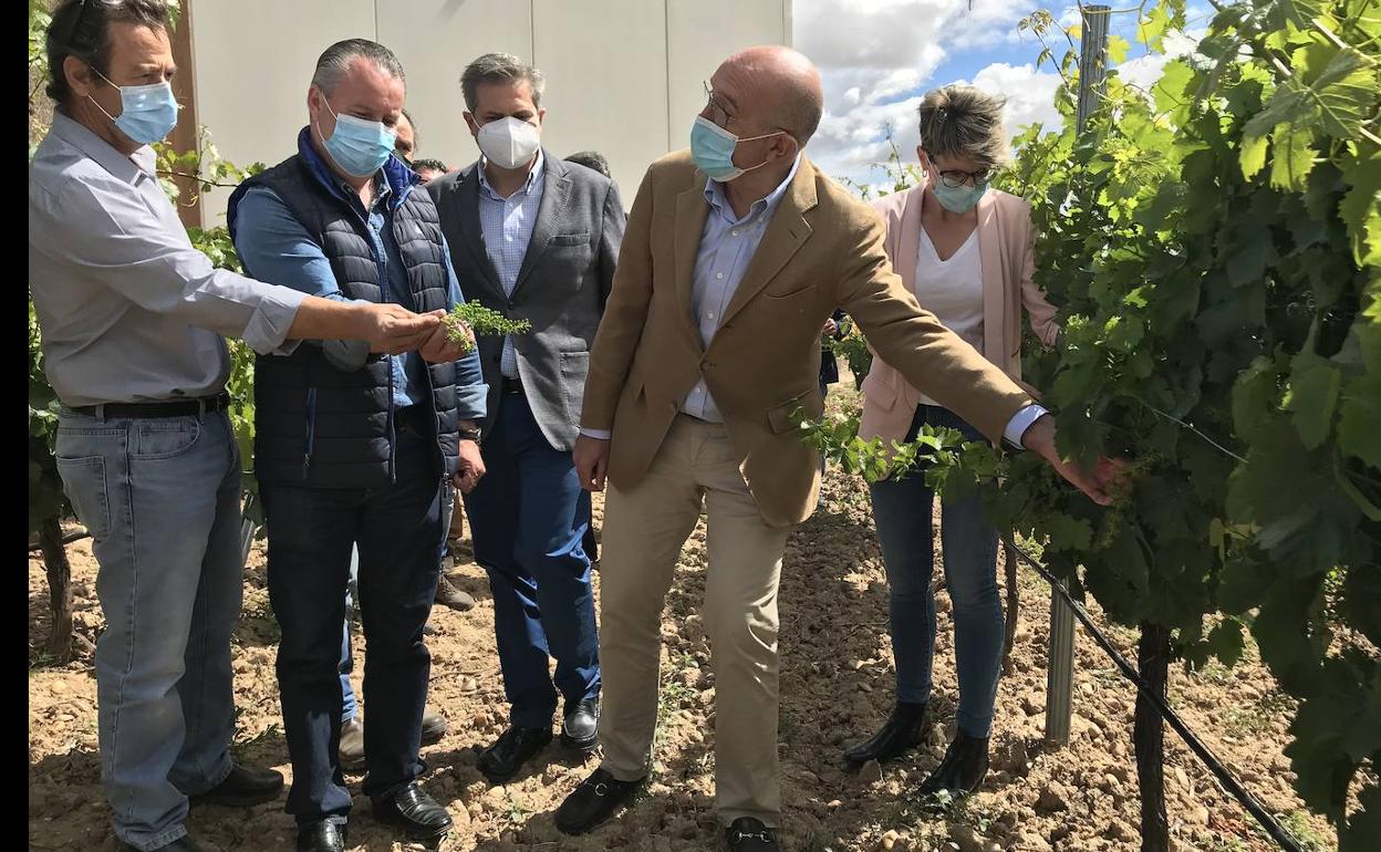 Carnero (segundo por la derecha) ayer durante su visita a la DO Rueda.