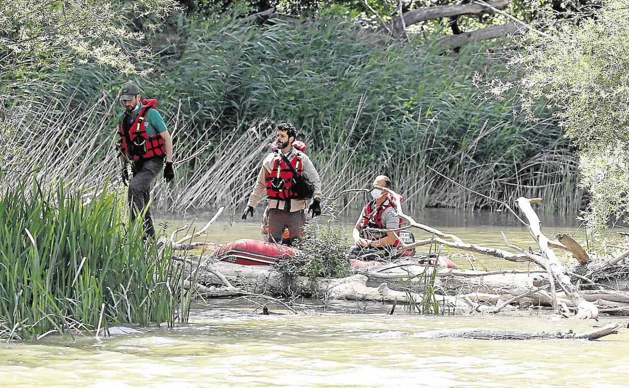 Operativo de búsqueda del cocodrilo en la desembocadura del Pisuerga.